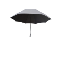 Parapluie_noir_voiturier